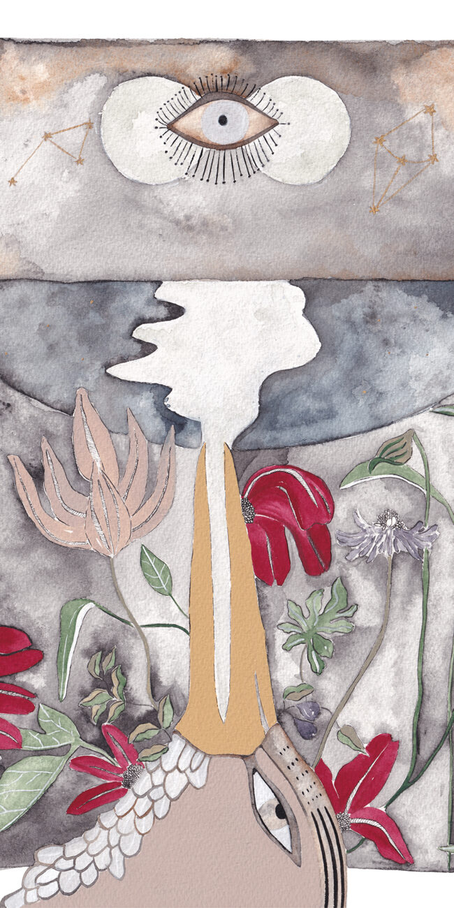 illustration chimère lusitane