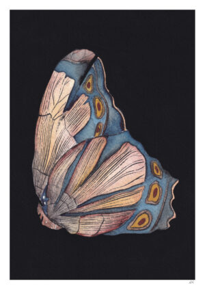 papillons d'entre deux ambre watteau tirages d'art