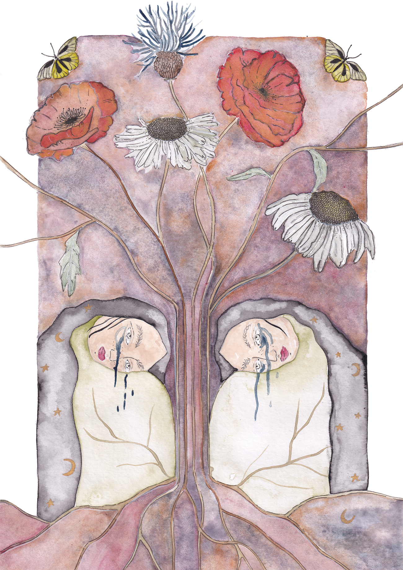 Illustration au bord du vivant