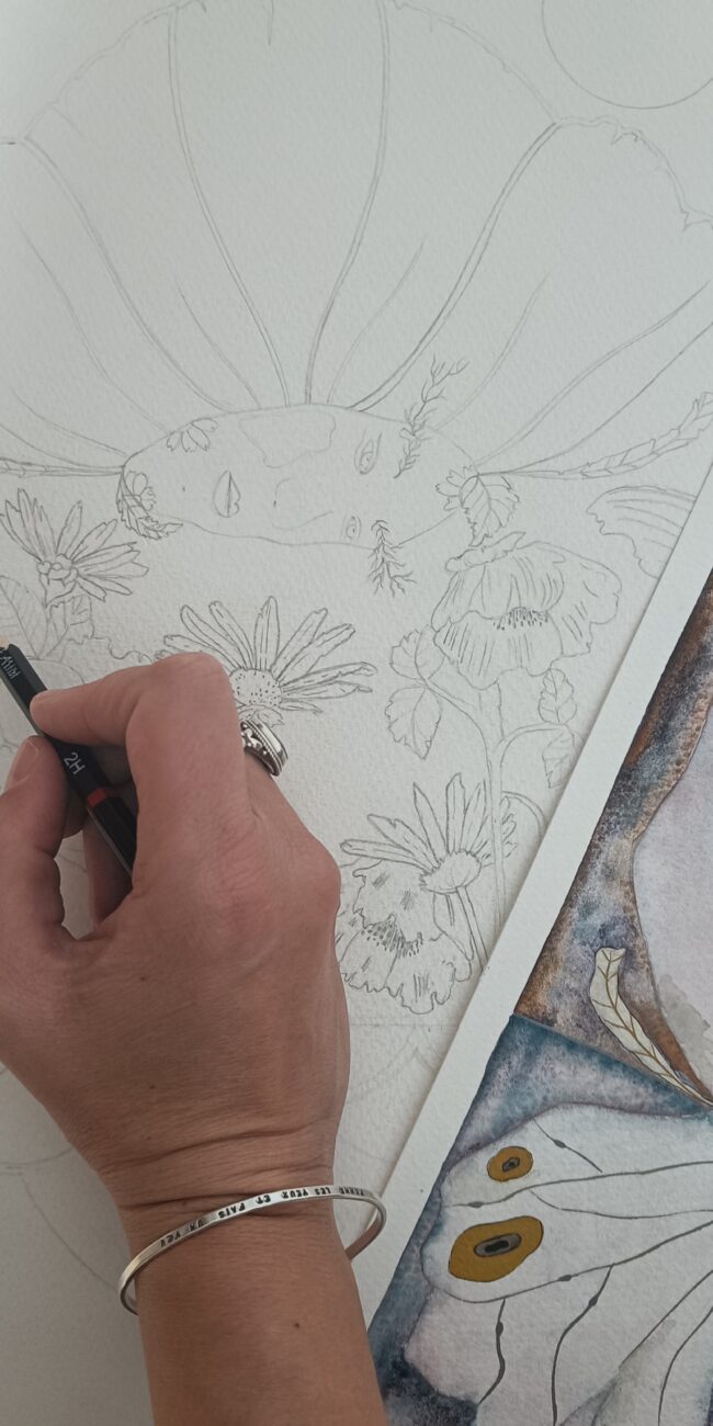 creation illustration art ambre watteau