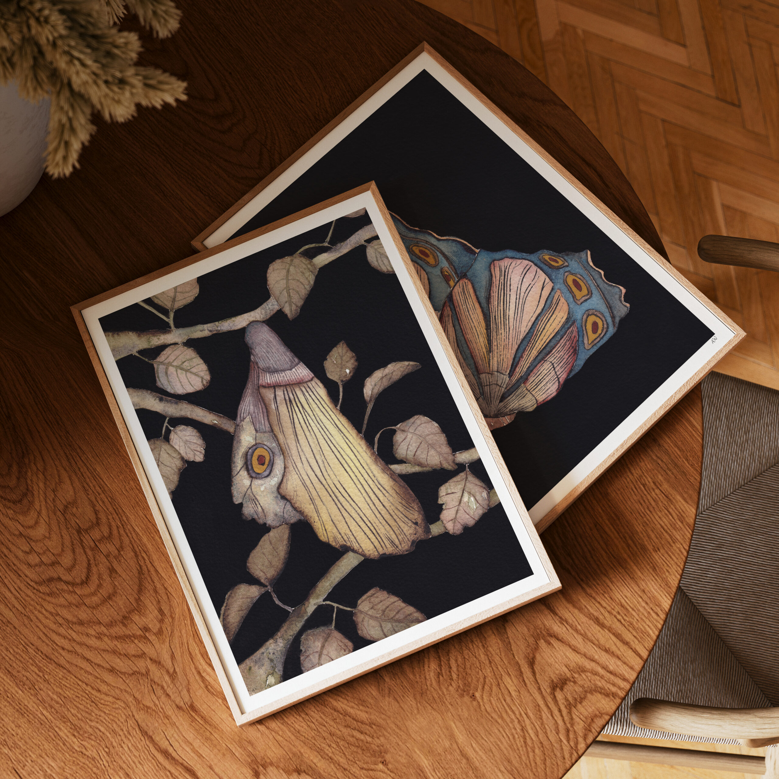 Chrysalide tirages d'art ambre watteau