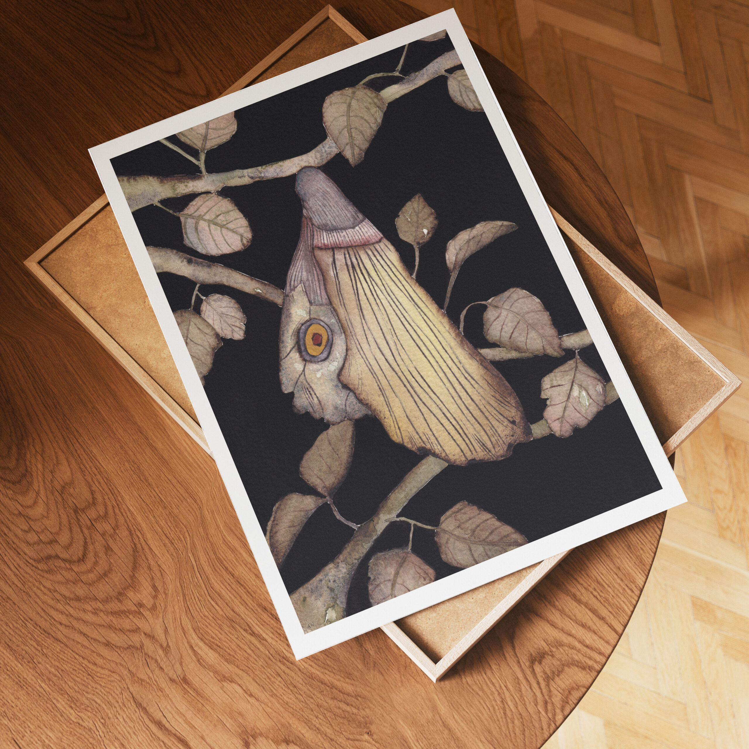 Chrysalide tirages d'art ambre watteau