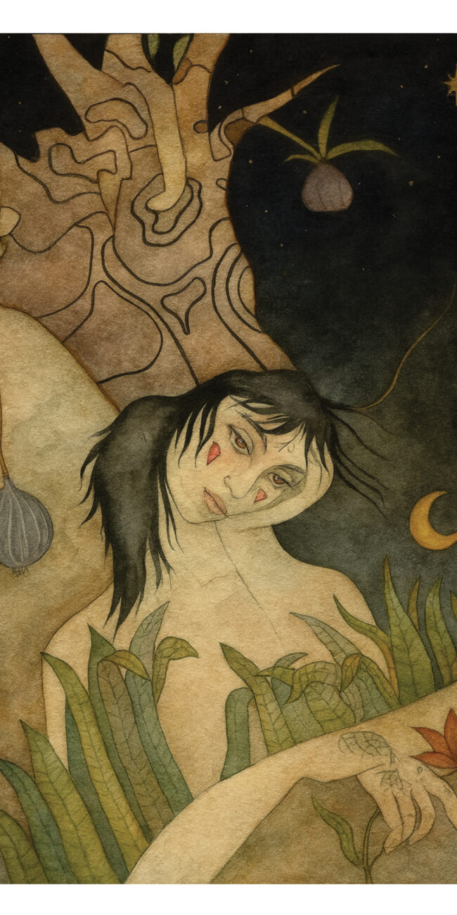 illustration art ambre watteau nouvelle collection