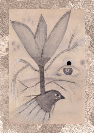 Carte postale illustrée L’oiseau et la fleur d’Ambre Watteau : un oiseau, une fleur et un œil dessinés à l’encre sur aquarelle sépia, avec une bordure à motifs.